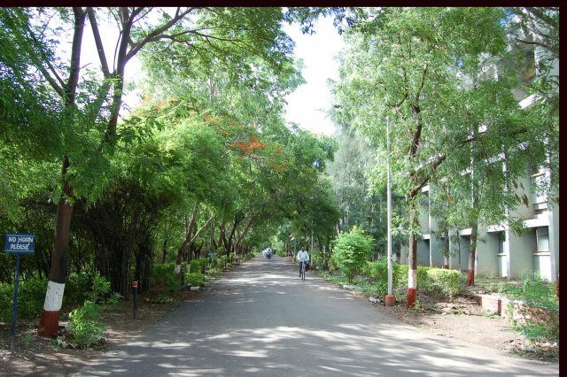 College Campus